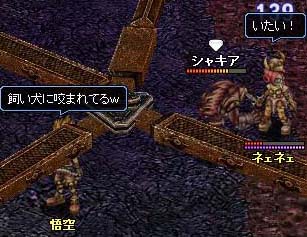 ばかいぬぅ.jpg